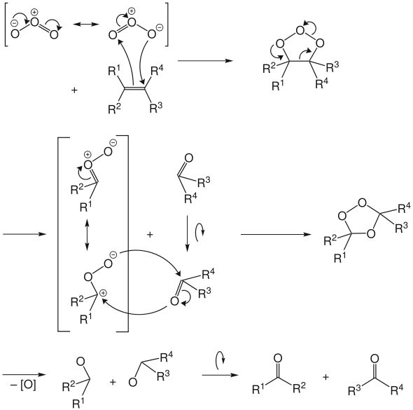 Mechanismus der Ozonolyse