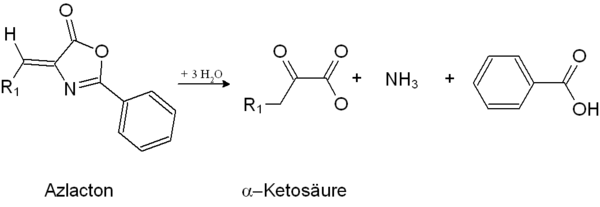Verseifung des Azlactons zur α-Ketosäure