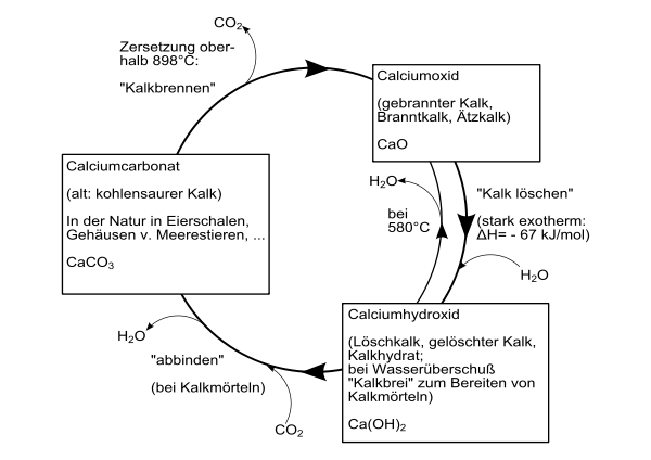 Umwandlungsprozesse verschiedener Calciumverbindungen
