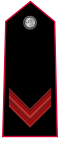 Carabinieri-OR-5.svg