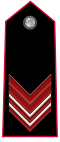 Carabinieri-OR-7.svg