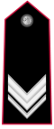 Carabinieri-OR-8.svg