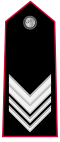 Carabinieri-OR-9b.svg