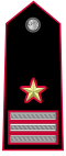 Carabinieri-OW-5.svg