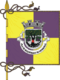 Flagge des Concelhos Reguengos de Monsaraz