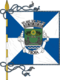Flagge des Concelhos Trofa