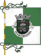 Flagge des Concelhos Vidigueira