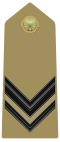 Rank insignia of caporale of the Army of Italy (1973).svg
