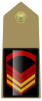 Rank insignia of caporalmaggiore capo scelto of the Army of Italy (1973).svg