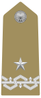 Rank insignia of generale di brigata of the Army of Italy (1973).svg