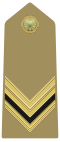 Rank insignia of sergente of the Army of Italy (1973).svg