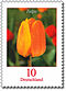 Serieblumen michel2484 tulpe.jpg