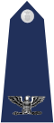 US Air Force O6 shoulderboard.svg