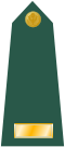 US Army O1 shoulderboard.svg