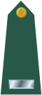 US Army O2 shoulderboard.svg