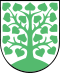 Wappen der Stadt Homburg