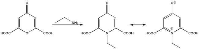 Reaktion von Chelidonsäure mit einem primären Amin