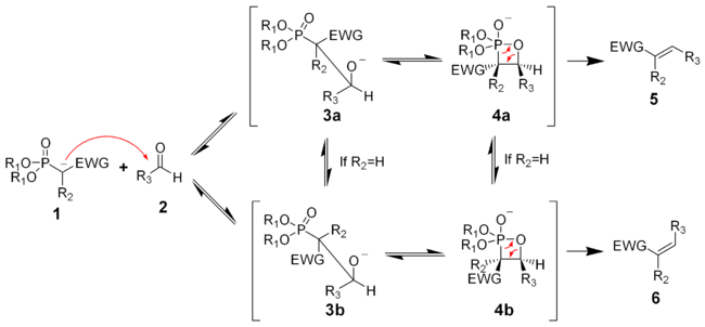 The mechanism of the Horner-Wadsworth-Emmons reaction