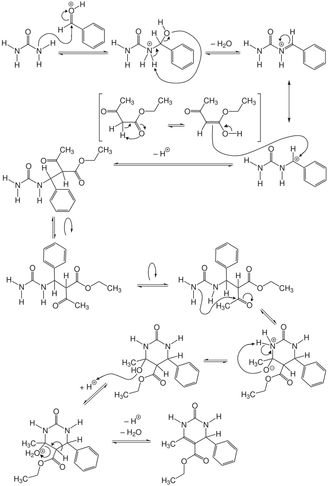 Mechanismus der Biginelli-Reaktion