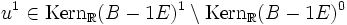 u^1 \in {\rm Kern}_{\mathbb{R}}(B-1E)^1 \setminus {\rm Kern}_{\mathbb{R}}(B-1E)^0