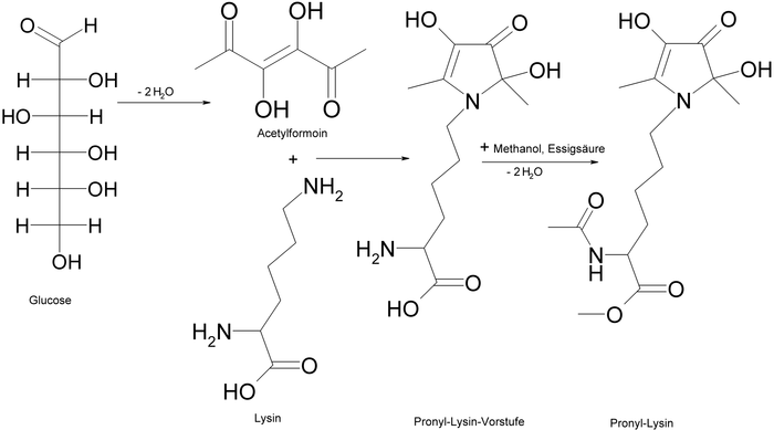 Darstellung von Pronyl-Lysin