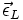 \vec{\epsilon}_L