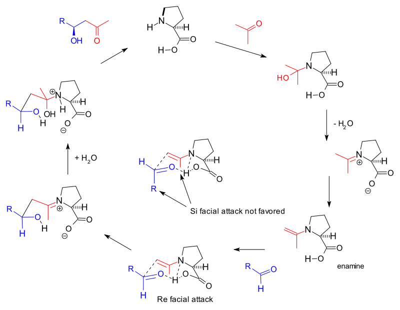 AldolMechanismList2000.svg