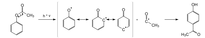 Mechanismus der Photo-Fries-Umlagerung