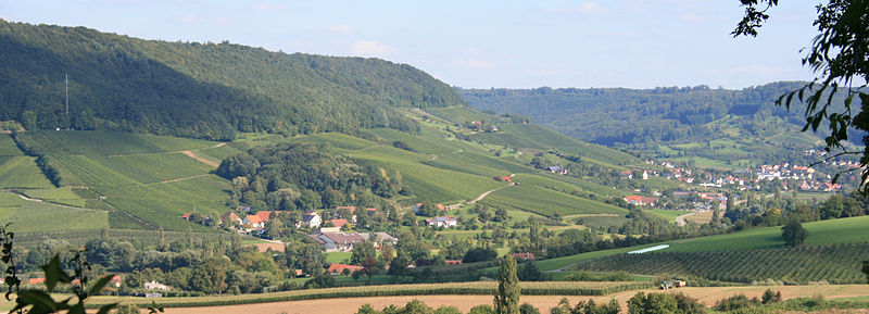 Das Panorama von Harsberg. In der Mitte die Ortschaft Heuholz mit der Weingärtnergenossenschaft Heuholz, davor der Ort Heuholz. Rechts von der Mitte Altrenzen. Ganz rechts die Ortschaft Untersteinbach