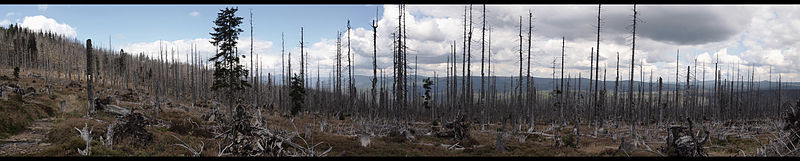 Panorama Ostseite Großer Rachel