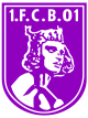 Logo vom 1. FC 01 Bamberg