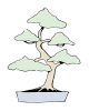 Bonsai locker aufrechte Form.svg