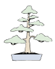 Bonsai streng aufrechte Form.svg