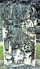 Tikal St05.jpg
