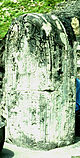 Tikal St11.jpg