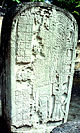 Tikal St22.jpg