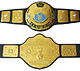 WWF Undisputed Championship.jpg