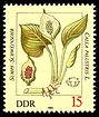 Stamps of Germany (DDR) 1982, MiNr 2692.jpg