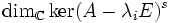 \dim_{\mathbb C}\ker(A - \lambda_{i}E)^{s}