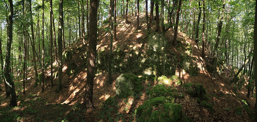 Bild 3: Ansicht des Burghügels aus südwestlicher Richtung. Im Vordergrund ist der Halsgraben, der den Hügel vom Felsgrat trennt zu erkennen, ganz im Vordergrund ist links das Ende der Zugangsweges zu sehen