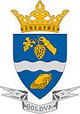 Wappen von Boldva