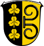 Wappen Breidenstein.svg