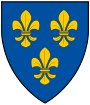 Das Wiesbadener Wappen mit den drei goldenen Lilien