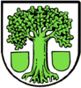 Wappen von Hölzern