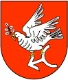 Wappen des Powiat Golubsko-dobrzyński