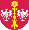 Wappen des Powiat Skierniewicki