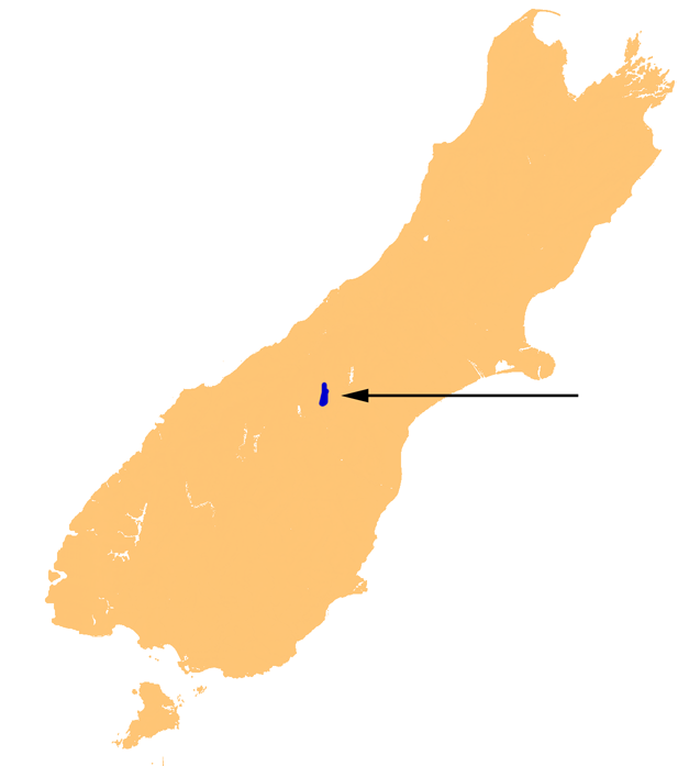 NZ L Pukaki 