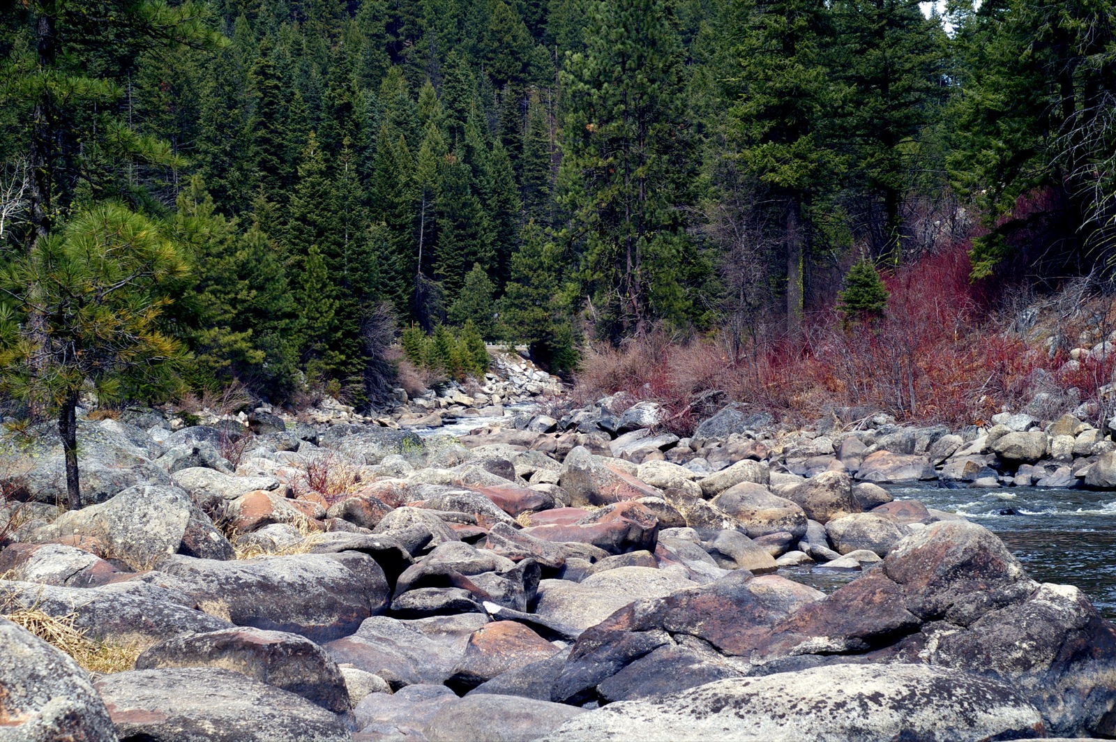 Boise National Forest