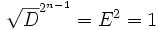 \sqrt D^{2^{n-1}} = E^2=1