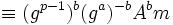 \equiv (g^{p-1})^b(g^a)^{-b}A^bm